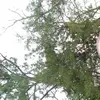 Frederick Yates - @frederick.yates - TikTok