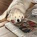 Fredrik Backman - Facebook