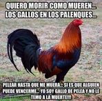 Fredy Jimenez - Facebook