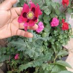 Fredy Jimenez - Facebook