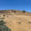 fredy_perez7 - @fredy_perez7 - TikTok