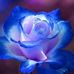 Freida Bass - Facebook