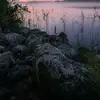 freida becker - @freida.becker6 - TikTok