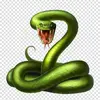 FreeDaBirds - @freedabirds - TikTok