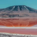 FreidaBraun - @freidabraun97 - Instagram