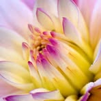 Freida Burton - Facebook