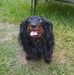 Freida Campbell - Facebook