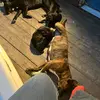 Frieda Davis - @frieda.davis1 - TikTok