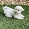 Freda Durham - @freda.durham - TikTok