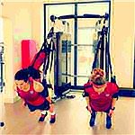 Freida - @cisderocfarrisor - Instagram