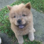 Frieda Ferguson Schieszer - @freddytheteddyfrieda - Instagram