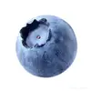 Freidafoxx - @fyw2677 - TikTok