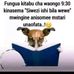 Frida Frank - Facebook
