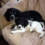 Freida Fry - @freidafry - Instagram