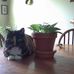 Freida Frye - Facebook