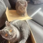Frieda & Henry - @frieda_und_henry - Instagram