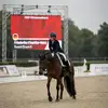 Friedahess - @friedahess - TikTok