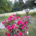 Freida James - Facebook