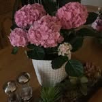 Freida Jordan - @freida_w_jordan - Instagram