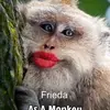 friedameeks6 - @frieda.meeks - TikTok
