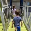 freidamyers0 - @freidamyers0 - TikTok