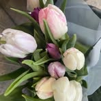 Freya Middleton - Facebook