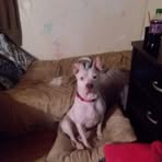 Freida Murdock - Facebook