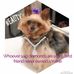 Freida Payne - Facebook