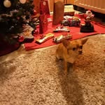 Frieda Pierre Herregods - @friedapierre - Instagram