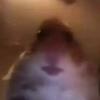 Frieda Power - @friedapower0 - TikTok