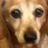 Freda Raney - @freda.raney - TikTok