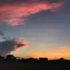 freidagraceyung - @freidaraydanner - TikTok