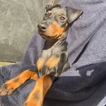 Freida - @fredareidalson - Instagram