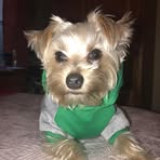 Freida Rice - Facebook