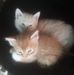 Freida Sims - Facebook
