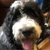 Freda Stephens - Facebook