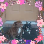 Freida Taylor - Facebook
