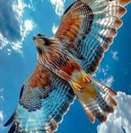 Frieda Taylor - Facebook