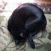 Freida Wright - Facebook
