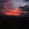 Davis_French365 - @davis_french365 - TikTok