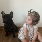 𝑩𝑬𝑹𝑹𝒀 a 𝑬𝑴𝑴𝑨🩷 - @berry.frenchie - Instagram