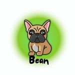 Bean - @bean_berry_the_frenchie - Instagram
