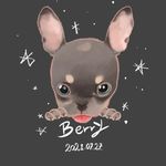 김진재 - @berry__frenchie - Instagram