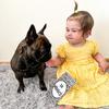 BERRY a EMMA - @berry.frenchie - TikTok