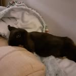 freya barber - @freyabarber401 - Instagram