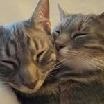 Freya & Griffin - @freya_griffin - Instagram