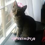 freya😻 (FRAY-yuh) - @freya.princess - Instagram