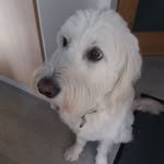 freya turner - @freya6056 - Instagram