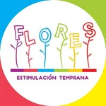 Frida Flores👩‍🏫 - @floresestimulacion - Instagram