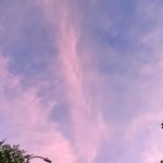 frida flores - @fridaafloress - Instagram